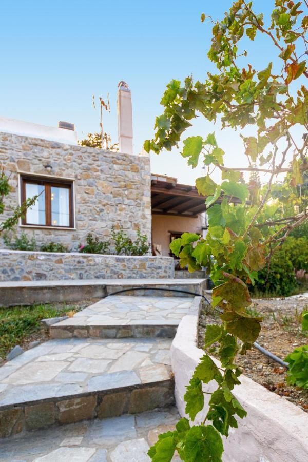 Villa Maria Stavrokhorion Exterior photo